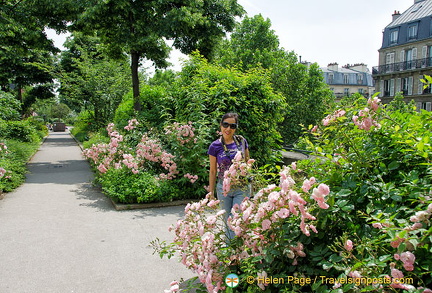 Enjoying the beautiful blooms along the Promenade Plantée